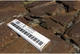 MIDI-клавиатура Arturia KeyLab 88 mk3 White (25-06-05-01) - изображение 3