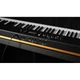 MIDI-клавиатура Fatar-Studiologic Sl88 Gt Mk2 (531236) - изображение 7