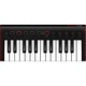 MIDI-клавиатура IK Multimedia IRIG KEYS2 Mini (40039) - изображение 1