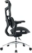 Крісло офісне Sihoo Doro S100 Mesh Black (S100-M301) ( 11488 ) - изображение 20
