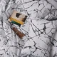 Комплект постільної білизни Moon&Star Полуторний 143x210 наволочки 2x50x70 White Marble Бязь Gold Люкс (MS-820015661) - зображення 4