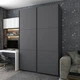 Шкаф-купе Doros G-Caiser 2 ДСП / 3 части 160х60х240 см Антрацит/Антрацит (42005412) - изображение 3