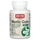Мастиковая смола Jarrow Formulas Mastic Gum 1000 mg, 60 капсул - изображение 1