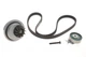 Комплект ГРМ + помпа Daewoo Lanos 1.4/1.5 97- 530000432 , Schaeffler INA - изображение 3