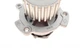Комплект ГРМ + помпа Lada Kalina/Priora/Vesta 1.6 08- (137x22) 530053630, Schaeffler INA - зображення 6