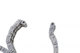 Комплект цепи ГРМ MB S-class (W220/W221/W222) 98- (Z=164) (M275/M279/M277), (цепь INA) 559179510 , Schaeffler INA - изображение 5