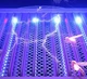 Ультрафиолетовая лампа от насекомых Mosquito Killer Lamp уничтожитель комаров и насекомых электрический для дома - изображение 3