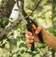 Плоскостной секатор 20.8 см нержавеющая сталь для сада Fiskars FK-2843 - изображение 7