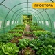 Теплица LEOBRO Garden 18 м² усиленная стальной каркас 600x300x200 см зеленая - изображение 9