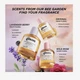 Парфуми для волосся Gisou Honey Infused Hair Perfume Lavender Berry - изображение 4
