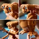 Zestaw klocków LEGO Ideas E.T. the Extra-Terrestrial 1226 elementów (21370) - obraz 6