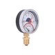 Термоманометр радіальний Thermo Alliance Standart біметалевий 1/2" 6 бар 120°C (SD1726B) - зображення 2