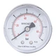 Манометр аксіальний Thermo Alliance Standart 1/4" 6 бар 50мм (SD1716B) - зображення 1