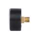 Манометр аксіальний Thermo Alliance Standart 1/4" 6 бар 50мм (SD1716B) - зображення 5