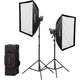 Комплект постоянного Света Godox SL60IID KIT с софтбоксами и сумкой (SL60IID KIT) - зображення 1