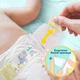 Підгузки памперси Pampers Premium Care Розмір 3 (6-10 кг) 40 шт - изображение 3