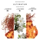 BIBLIOTHEQUE Парфумована вода Ultimatum 16 мл - изображение 2
