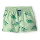 Шорты для купания Carter's для мальчика 99-105 см (2U771410_4T) - изображение 1