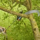 Веткорез (высоторез) телескопический GARDENA StarCut Pro L Set + пила StarCut 12082-20 (32 мм, 175-400 см) - изображение 7