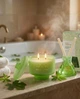 Свеча в стеклянном подсвечнике Kaktus Bliss Essentials Verbena and fig leaf 230гр - изображение 3