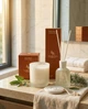 Ароматическая свеча с керамической крышкой Kaktus Serenity Home Wild sage&Cedarwood 300гр - изображение 3