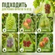 Сетка-мешочек для защиты винограда и фруктов от ос и птиц, 29×19 см, 10 шт - изображение 2