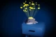 Lampka nocna z projektorem Chicco Delfin (00012546000000) (8058664184415) - obraz 6