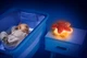Музыкальная игрушка-ночник Chicco You&Me Star (8058664180011) - изображение 20