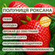 Саджанці полуниці (розсада) Роксана (Roxana) - середньо-пізня, зимостійка, соковита - зображення 4