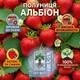 Саженцы клубники (рассада) Альбион (Albion) - ремонтантная, крупноплодная, сочная - изображение 5