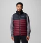 Мужской жилет Columbia безрукавка 1159865568 (Бордовый/Черный M) - изображение 1