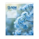 Зошит учнівський Bloom or fade YES 768872 18 аркушів Різнокольоровий shop (4823133110202) - зображення 2