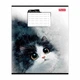 Зошит учнівський Little cat 1B 768734 12 аркушів Різнокольоровий shop (4823133108957) - зображення 3