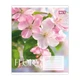 Зошит учнівський Flora YES 768792 36 аркушів Різнокольоровий shop (4823133109701) - зображення 5