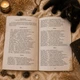 Книга «Таро Чорних Котів». Повний посібник по колоді, російська мова - зображення 10