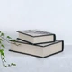 Скринька набір з 2-х книг Пізанська вежа Гранд Презент 27-F0008 - изображение 3