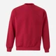 Свитшот на флисе мужской Velilla 105701_12 L Red (8435011489940) - изображение 1