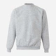 Свитшот на флисе мужской Velilla 105701_48 L Heather Grey (8434455492363) - изображение 1