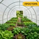 Теплица ProDobro Garden 18 м² усиленная стальной каркас 600x300x200 см белая - изображение 9