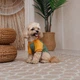 Футболка для животных Pet Fashion Kent XS2 (4823082446162) - изображение 3