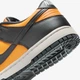 Кросівки DUNK LOW RETRO HF5441-700 43 - зображення 8