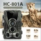 Камера ловушка HC801A (HT-2000) 24Мп с дисплеем 2 дюйма PIR датчик движения ночная съемка угол обзора 120 град - изображение 1
