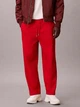 Спортивные штаны мужские утепленные Calvin Klein 868911369 L Красные (1160224348) - изображение 1