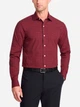 Рубашка хлопковая мужская Tommy Hilfiger 115600962 XL Красная (1160187385) - изображение 1