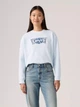Свитшот на флисе женский Levi`s 342434131 M Голубой (1159959944) - изображение 3