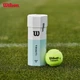 М'яч тенісний Wilson 3 шт - зображення 4