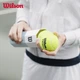 М'яч тенісний Wilson 3 шт - зображення 5
