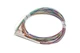 Подільник оптичний RCI PLC - 0.9 мм cord, 1m. - 1x32 без конекторів (PLC 1x32-0.9 mm cord (G.657 А1)) - зображення 1