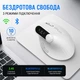 Бездротова вертикальна миша T29 чорна, Bluetooth 5.2 + 2.4G, 10 кнопок, DPI 800–4000, акумулятор 500 мА·год, USB Type-C - зображення 3