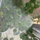 Ручний розпилювач насадка обприскувач на пляшку для саду з двома головками пульверизатор для поливу 38см - зображення 8